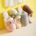 Winter Plush Slippers Couple Male Ms. Outer Wear Comfortable Non-slip Wild Sweet Bow Cotton Slippers